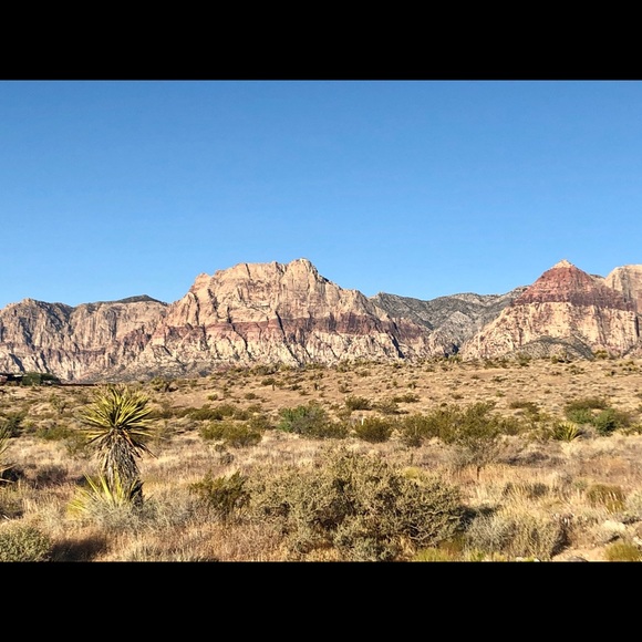 Meet your Posher, Rebecca - Picture 1 of 1